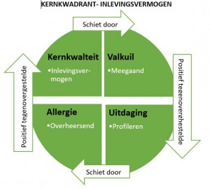 matrix-kernkwadrant-inlevingsvermogen